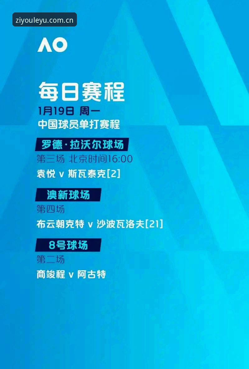 乐鱼中国网页版对比 乐鱼中国网页版对比:从跟随到主导的竞技体验跃迁
