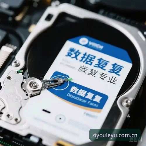 乐鱼中国电脑版下载不了怎么办 乐鱼体育平台电脑版下载卡壳?完整自救指南教你见招拆招